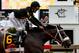 BALTIMORE, MD - MAY 18: Gary Stevens celebrates atop of Oxbow #6 as he crosses the finish line to win the 138th running of the Preakness Stakes at Pimlico Race Course on May 18, 2013 in Baltimore, Maryland. (Photo by Justin Heiman/Getty Images)