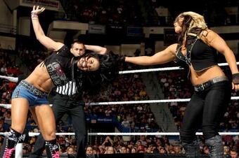 AJ-Lee-vs-Kaitlyn-Payback_crop_north.jpg