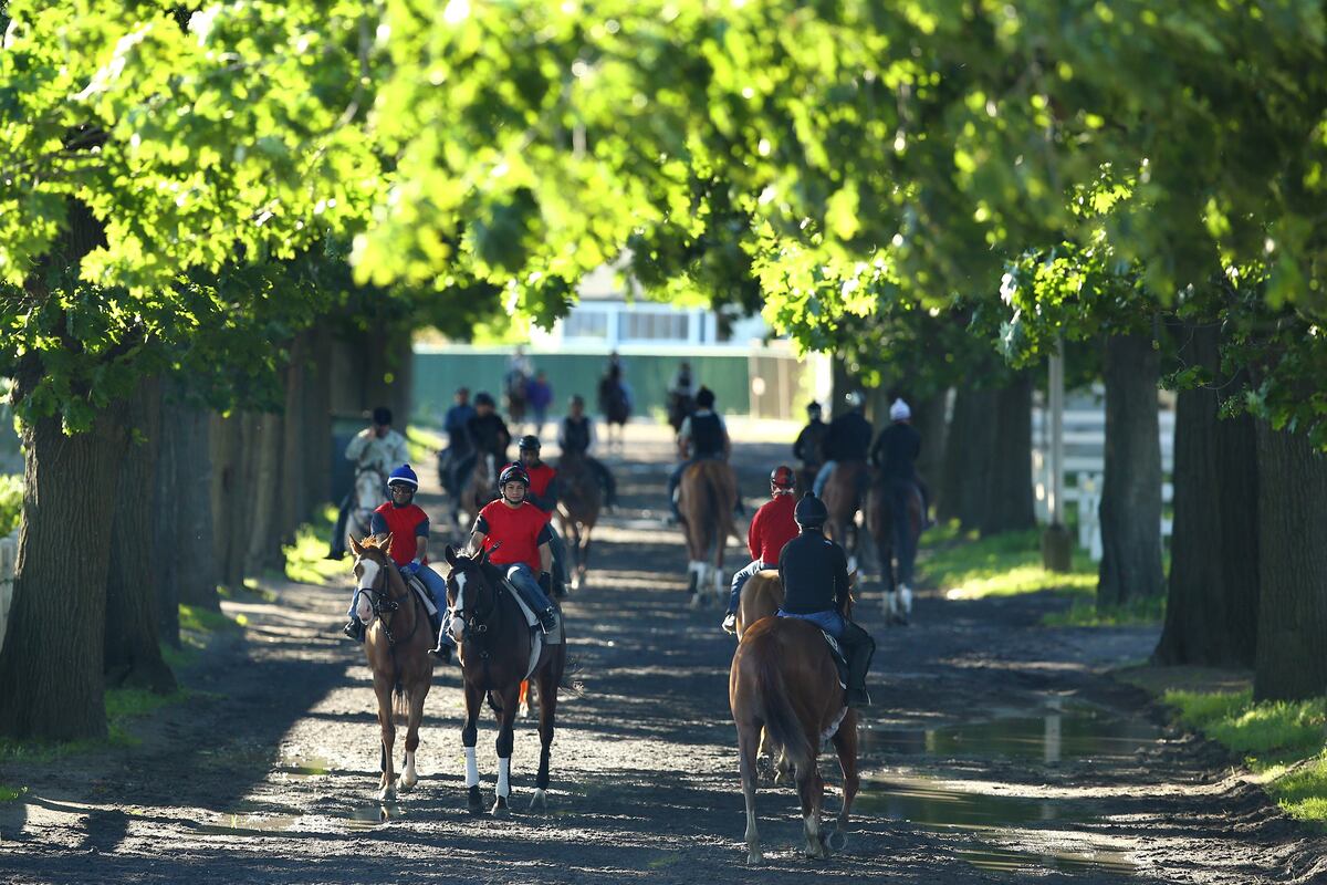 Belmont Stakes Field 2013 Full Post Positions for Every Horse in 145th