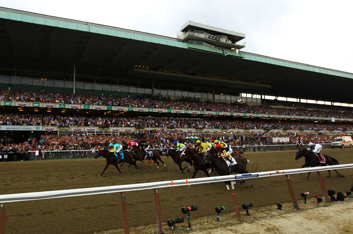 Belmont Stakes 2013 Horses Power Ranking This Year's Entries News