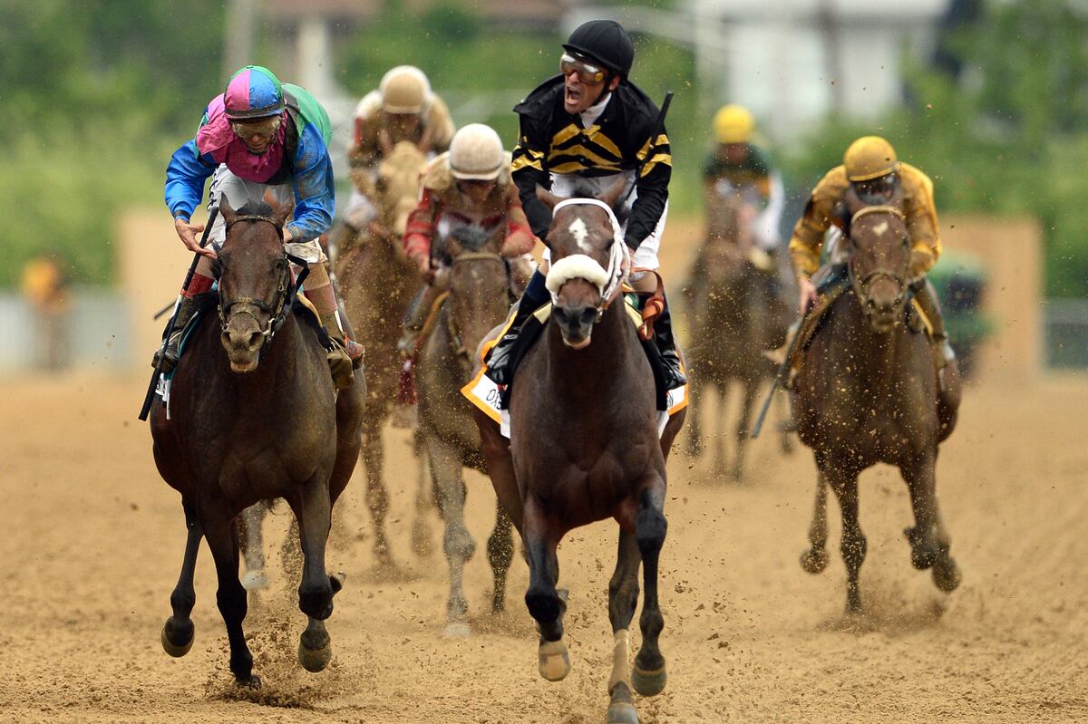 Belmont Stakes 2013 Field Horses With Best Odds In Triple Crown s Last Leg Bleacher Report 