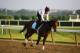 ELMONT, NY - JUNE 06: Jennifer Patterson aboard Kentucky Derby winner Orb during a training session at Belmont Park on June 6, 2013 in Elmont, New York. (Photo by Al Bello/Getty Images)