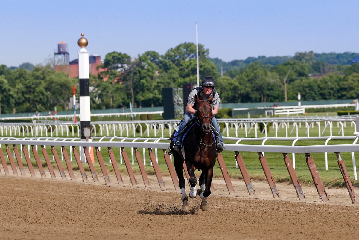 Belmont Stakes Picks Predicting Top 3 in Triple Crown's Final Leg