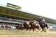 ELMONT, NY - JUNE 08: Horses race at the start at the 145th running of the Belmont Stakes at Belmont Park on June 8, 2013 in Elmont, New York. (Photo by Al Bello/Getty Images)