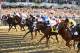 ELMONT, NY - JUNE 08: Horses race at the start at the 145th running of the Belmont Stakes at Belmont Park on June 8, 2013 in Elmont, New York. (Photo by Al Bello/Getty Images)