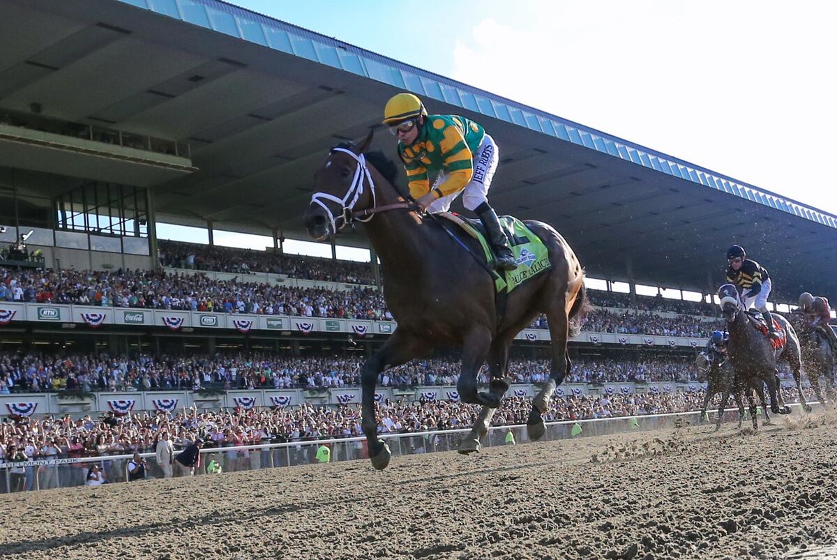 Belmont Stakes 2013 Results What We Learned from Thrilling Run for