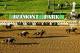 ELMONT, NY - JUNE 08: Palace Malice #12 ridden by Mike Smith wins the 145th running of the Belmont Stakes followed by Oxbow #7 Ridden by Gary Stevens and and Orb #5 ridden by Joel Rosario at Belmont Park on June 8, 2013 in Elmont, New York. (Photo by Al Bello/Getty Images)
