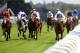 ASCOT, ENGLAND - JUNE 15: Goldikova and Olivier Peslier (R, white cap) win The Queen Anne Stakes from Paco Boy and Richard Hughes (L) on the 1st day of Royal Ascot at Ascot racecourse on June 15, 2010 in Ascot, England (Photo by Alan Crowhurst/ Getty Images)