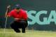Tiger Woods, winner of 14 major championships