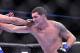 Contender Chris Weidman during his short-notice matchup against on-time middleweight contender Demian Maia.