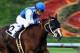 Travesura returns from over a six-month layoff as the most accomplished filly in the Le Cle Stakes off this win in the Miesque Stakes (G3).