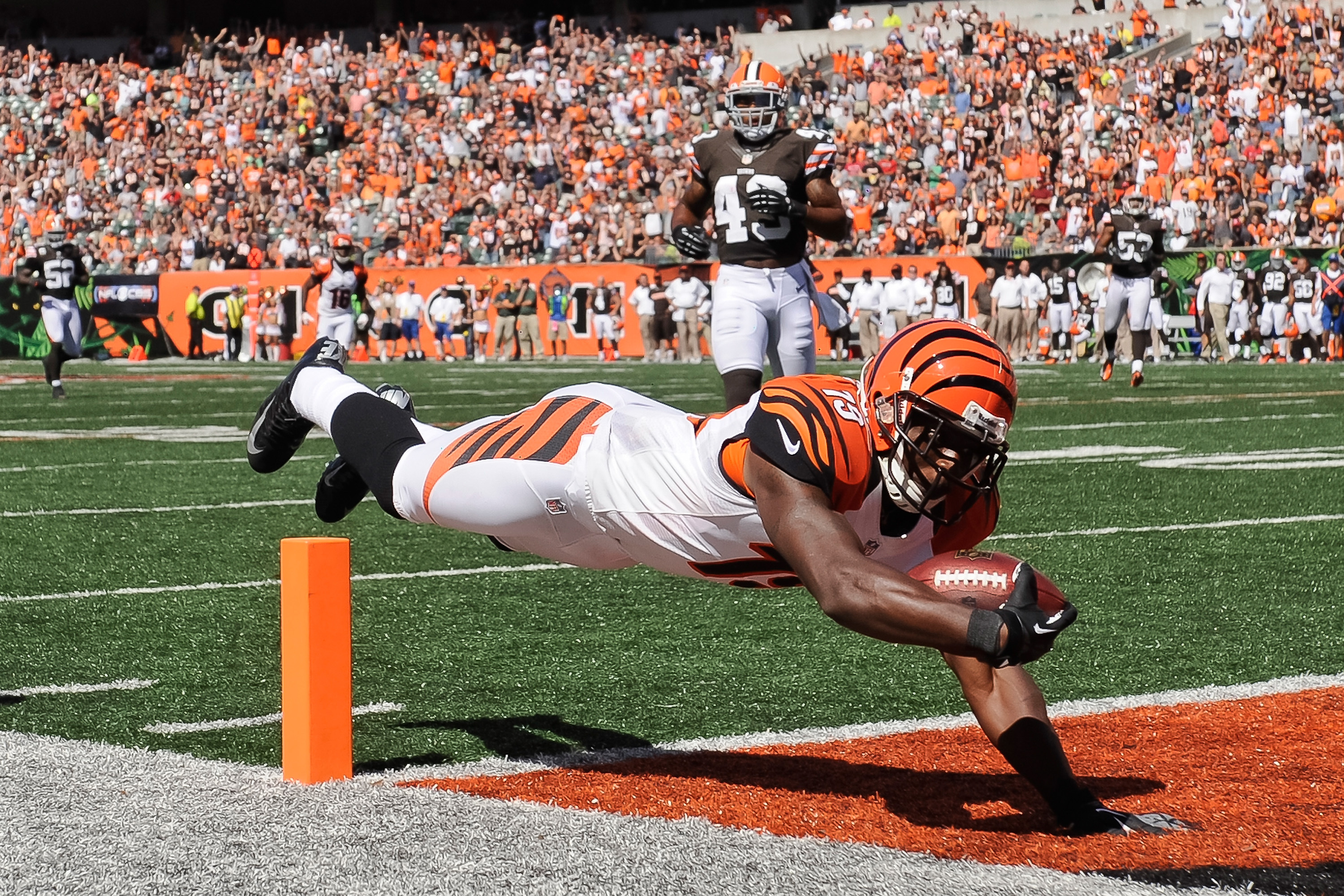 Cincinnati Bengals vs. Cleveland Browns. Fans support on NFL Game