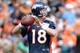 July 25, 2013; Englewood, CO, USA; Denver Broncos quarterback Peyton Manning (18) prepares to pass during training camp at the Broncos training facility. Mandatory Credit: Ron Chenoy-USA TODAY Sports