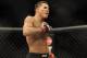 Jan 26, 2013; Chicago, IL, USA; Anthony Pettis celebrates after defeating Donald Cerrone (not pictured) during UFC on FOX 6 at the United Center. Mandatory Credit: David Banks-USA TODAY Sports