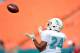 Jul 29, 2013; Miami, FL, USA; Miami Dolphins cornerback Dimitri Patterson (24) makes a catch during a scrimmage at Sun Life Stadium. Mandatory Credit: Steve Mitchell-USA TODAY Sports