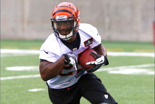 35+ Best Players To Draft In Fantasy Football 2013 Pictures
