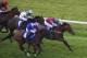 NEWBURY, ENGLAND - AUGUST 17: Robert Havlin riding Thomas Hobson (R) win The Betfred Watch Fred's Pushes On Betfred TV Handicap Stakes at Newbury racecourse on August 17, 2013 in Newbury, England. (Photo by Alan Crowhurst/Getty Images)