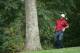 GAINESVILLE, VA - SEPTEMBER 25: United States team player Tiger Woods grimaces in pain, grabbing his back, after hitting from the trees on the 17th hole during Sunday Singles matches at the 2005 Presidents Cup September 25, 2005 at Robert Trent Jones Golf Club in Gainesville, Virginia. The United States defeated the International Team, 18.5-17.5. (Photo by Jamie Squire/Getty Images)