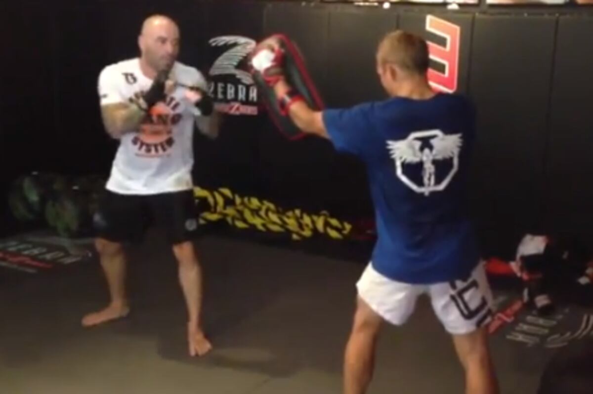 UFC Commentator Joe Rogan Demos Explosive Power with His ...