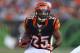 Thanks to additions like Giovani Bernard, the Bengals have run wild in the preseason.