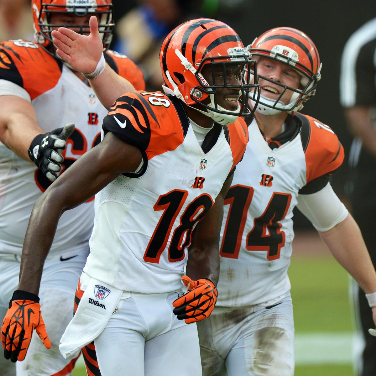 Cincinnati Bengals 2013 NFL Season Primer Full Predictions & Roster