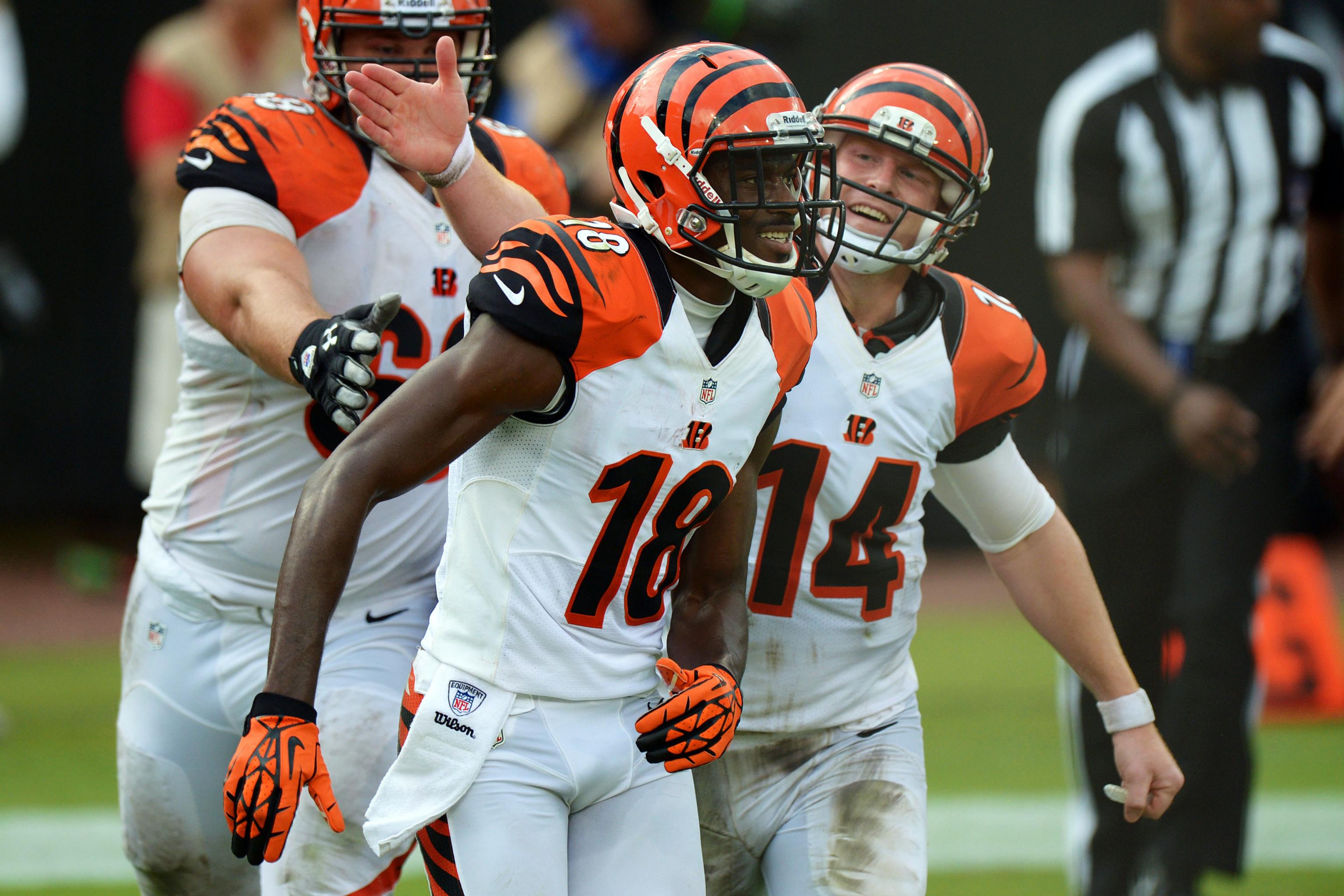 Grading Bengals' 2013 draft