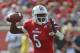 Sep 1, 2013; Louisville, KY, USA; Louisville Cardinals quarterback Teddy Bridgewater (5) looks to pass against the Ohio Bobcats during the second quarter at Papa John's Cardinal Stadium. Mandatory Credit: Jamie Rhodes-USA TODAY Sports