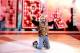 (WWE.com photo)
