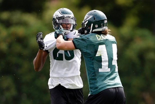 Michael Vick: Eagles have forgiven Riley Cooper - Sports Illustrated