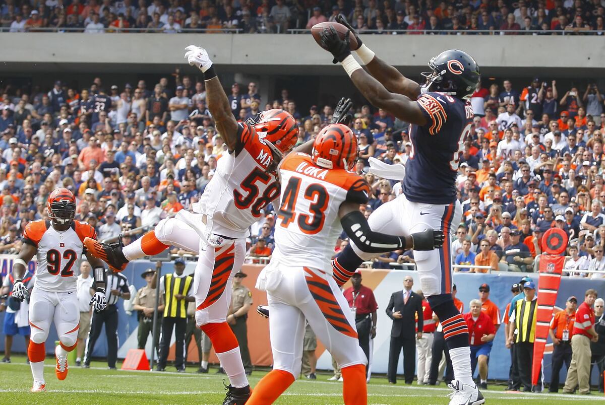 Bengals vs. Bears Full Roster Report Card Grades for Cincinnati News