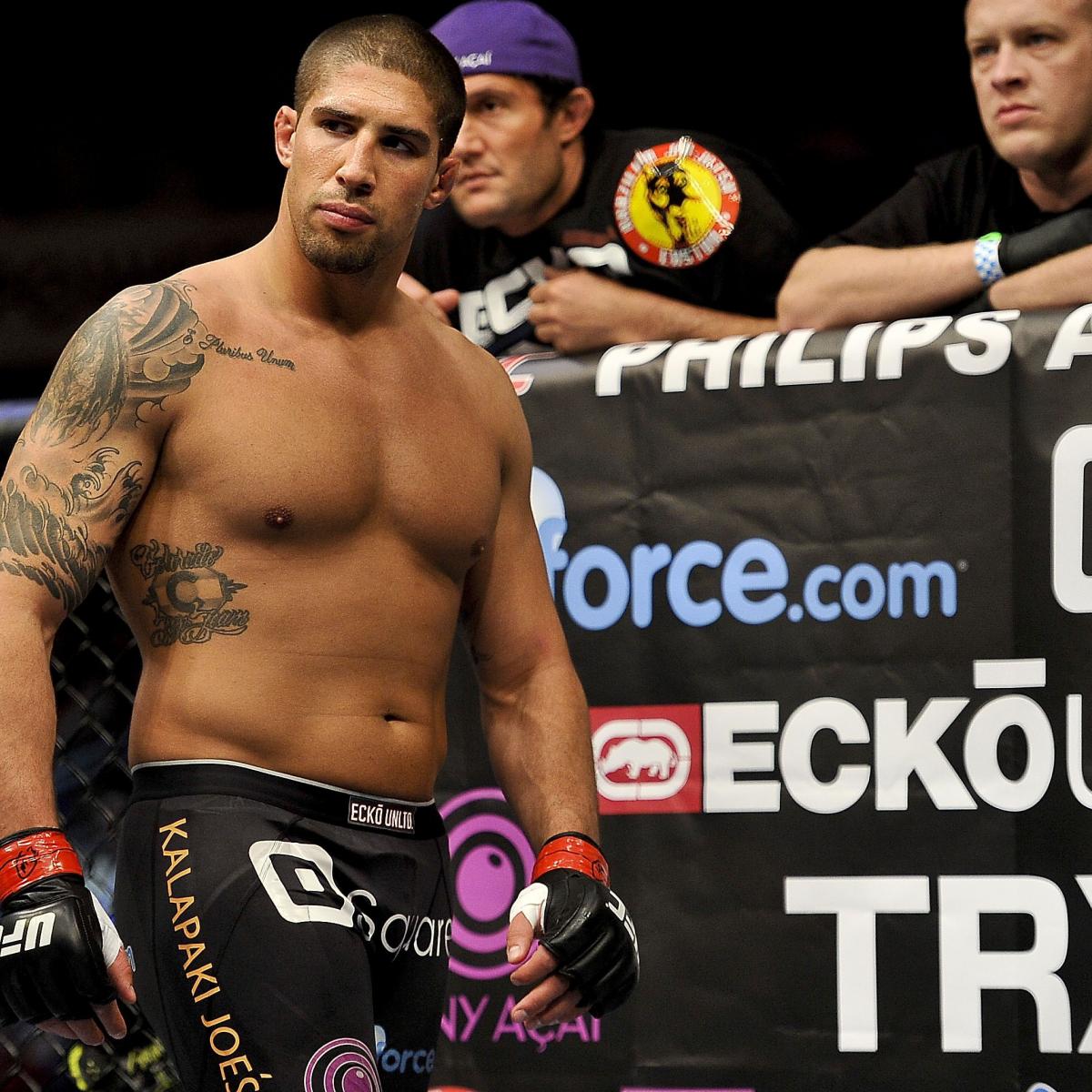 UFC 165 Preview Brendan  Schaub  vs  Matt Mitrione Head to 