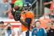DENVER, CO - SEPTEMBER 5: Julius Thomas #80 of the Denver Broncos makes a catch as he warms up before the game against the Baltimore Ravens at Sports Authority Field at Mile High on September 5, 2013 in Denver Colorado. (Photo by Dustin Bradford/Getty Images)