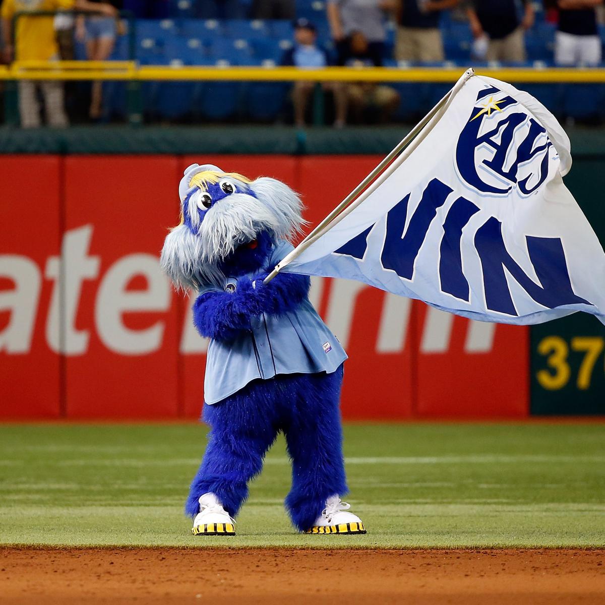 I don't understand the Tampa Bay Rays Mascots