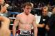 Sep 14, 2013; Las Vegas, NV, USA; Canelo Alvarez reacts after losing to Floyd Mayweather Jr. by a majority decision at their WBC and WBA super welterweight titles fight at MGM Grand Garden Arena. Mandatory Credit: Jayne Kamin-Oncea-USA TODAY Sports