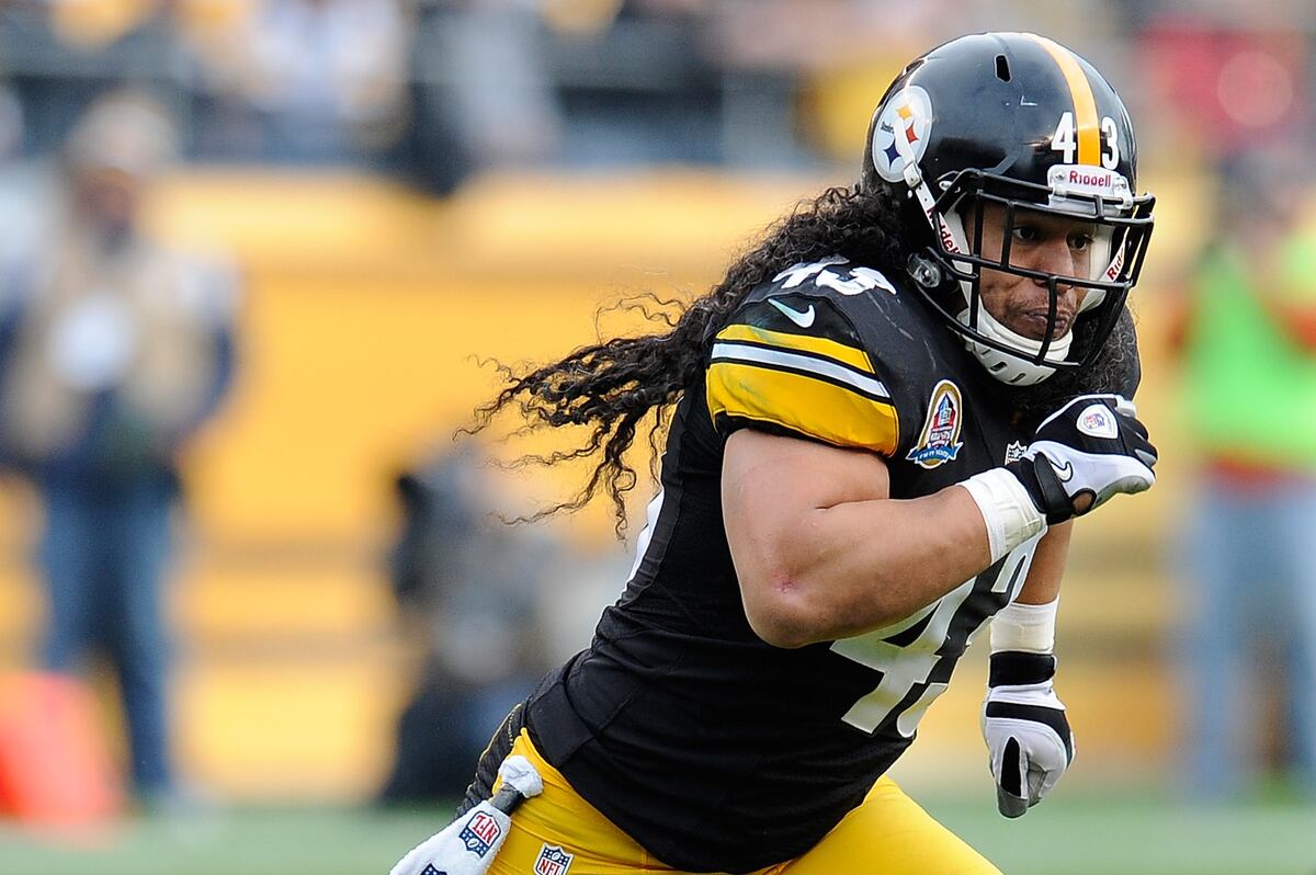 Madden NFL 25 Unlockable Players: Troy Polamalu | Bleacher ...