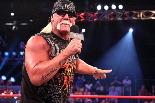 News on Why TNA Is so Unhappy with Hulk Hogan's Role in WWE's 2K14 ...