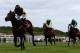 Jack Dexter (left) is favourite to win this year's Ayr Gold Cup.