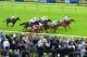 AYR, SCOTLAND - SEPTEMBER 21: Tom Queally (Pink and Blue) riding Coral Mist wins the the William Hill - In The App Store Firth Of Clyde Stakes at Ayr racecourse on September 21, 2013 in Ayr, Scotland. (Photo by Mark Runnacles/Getty Images)