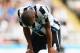 Loic Remy's brace wasn't enough for Newcastle as Hull triumphed