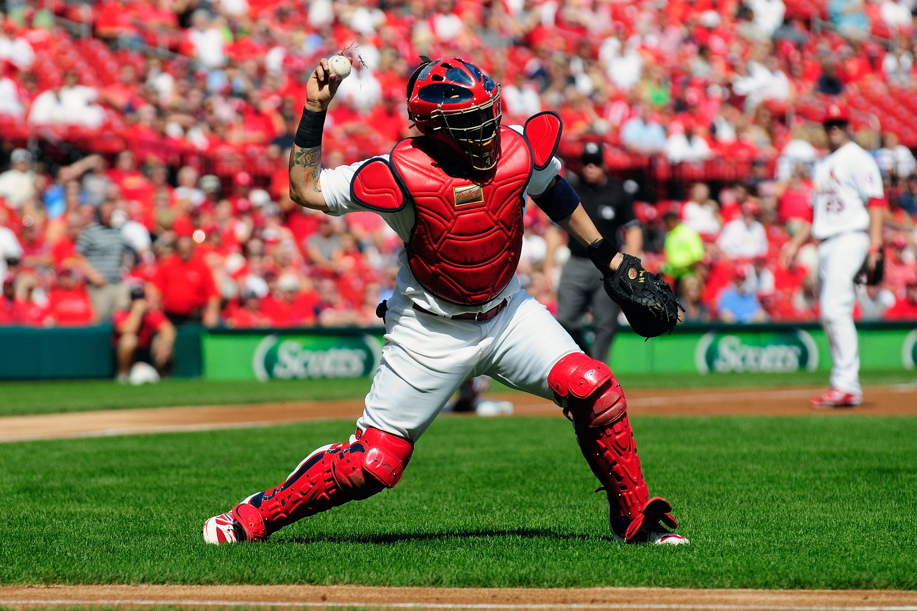Download Yadier Molina of the St. Louis Cardinals delivers a pitch