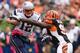 CINCINNATI, OH - OCTOBER 6: Wallace Gilberry #95 of the Cincinnati Bengals sacks quarterback Tom Brady #12 of the New England Patriots in the first quarter at Paul Brown Stadium on October 6, 2013 in Cincinnati, Ohio. (Photo by Jamie Sabau/Getty Images)