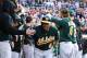 DETROIT, MI - OCTOBER 08: Coco Crisp #4 of the Oakland Athletics celebrates in the dugout after scoring on a two run home run by Jed Lowrie #8 in the fifth inning against the Detroit Tigers during Game Four of the American League Division Series at Comerica Park on October 8, 2013 in Detroit, Michigan. (Photo by Leon Halip/Getty Images)