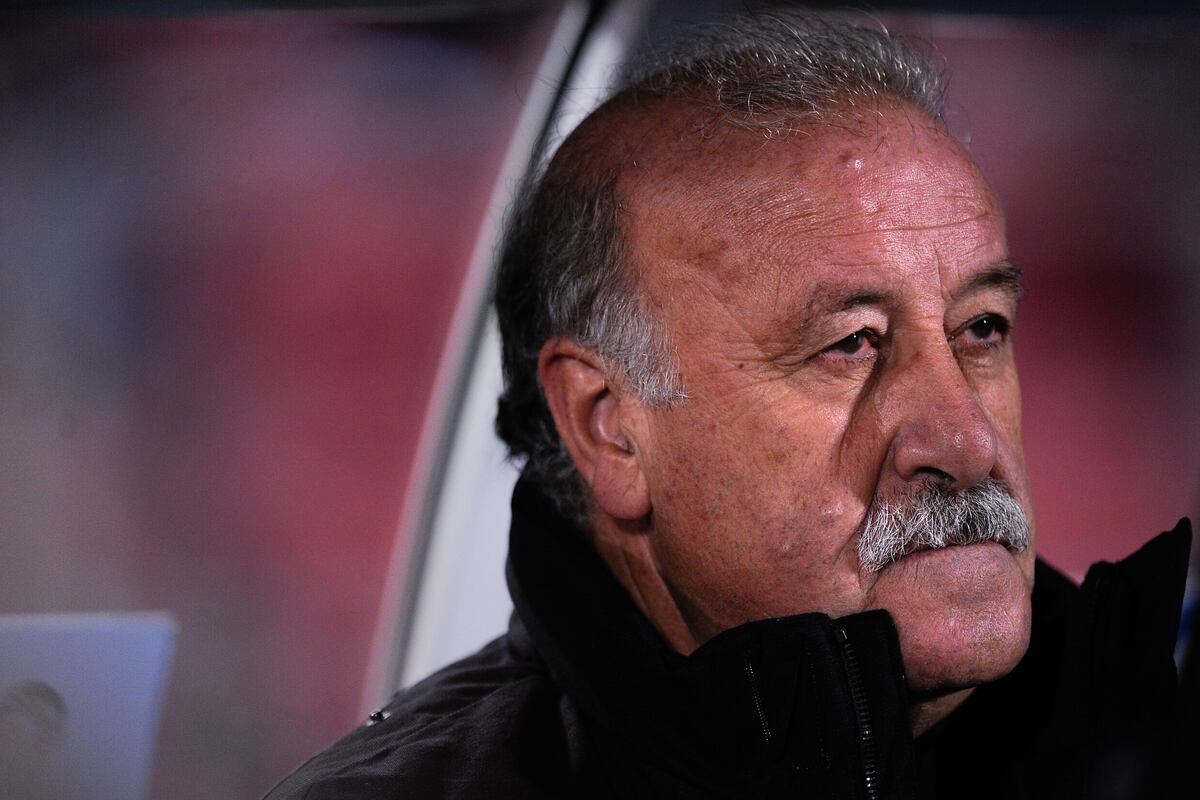Vicente Del Bosque Will Sign New Spain Contract Before World Cup | News