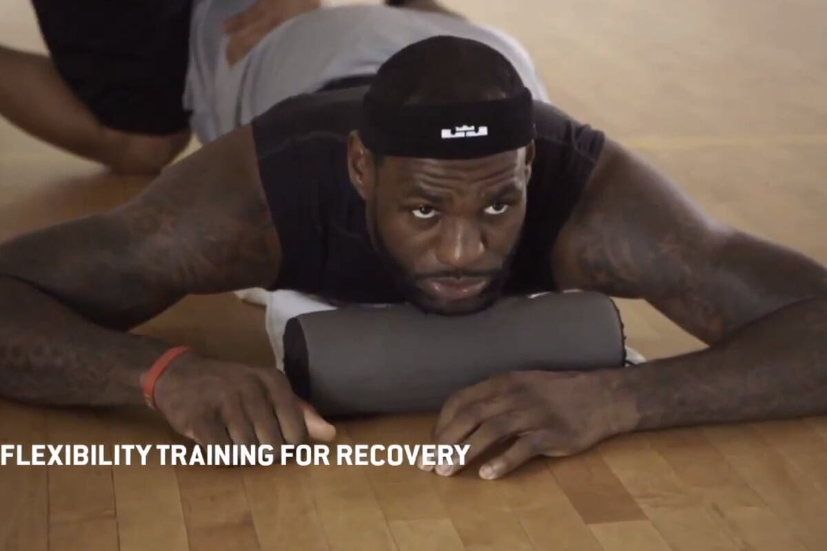 lebron james skills