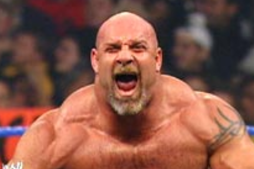 Wwe Fighter Xxx - WWE Still Pushing for Goldberg Match at WrestleMania XXX ...