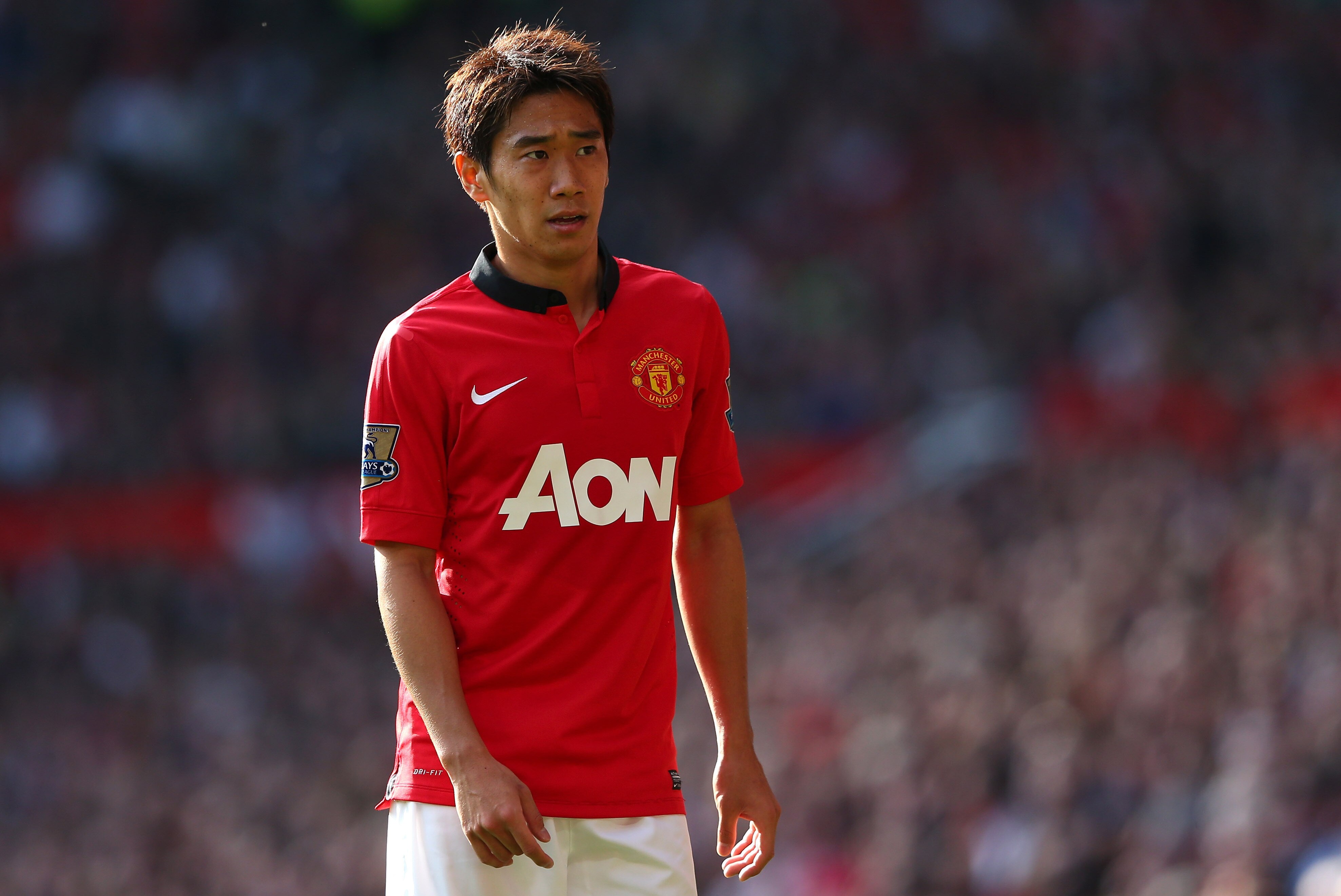 champions league live scores