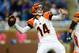 Oct 20, 2013; Detroit, MI, USA; Cincinnati Bengals quarterback Andy Dalton (14) throws a pass to wide receiver A.J. Green (not pictured) for a touchdown during the first quarter against the Detroit Lions at Ford Field. Mandatory Credit: Andrew Weber-USA TODAY Sports