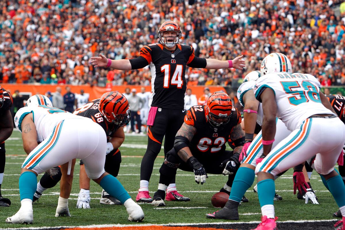 Bengals vs. Dolphins: TV Info, Spread, Injury Updates, Game Time and