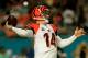 MIAMI GARDENS, FL - OCTOBER 31: Andy Dalton #14 of the Cincinnati Bengals attempts to pass the ball against the Miami Dolphins at Sun Life Stadium on October 31, 2013 in Miami Gardens, Florida. (Photo by Chris Trotman/Getty Images)