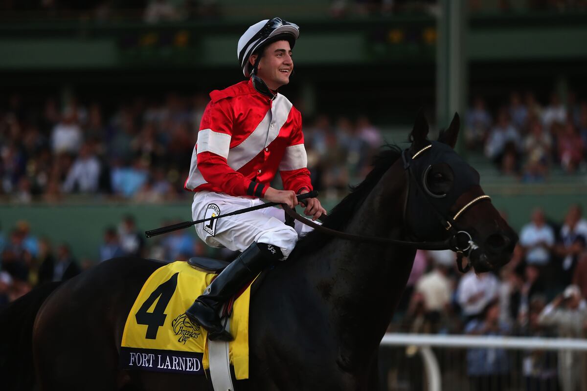 Breeders' Cup 2013 Entries Analyzing Top Horses, Contenders and Lineup